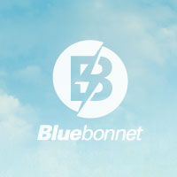 Bluebonnet